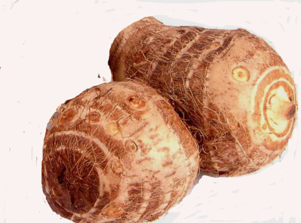 Arbi/Taro root 1kg