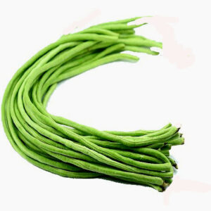 Kacang Panjang/Long beans