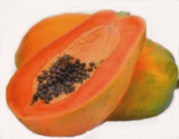 Papaya 1kg